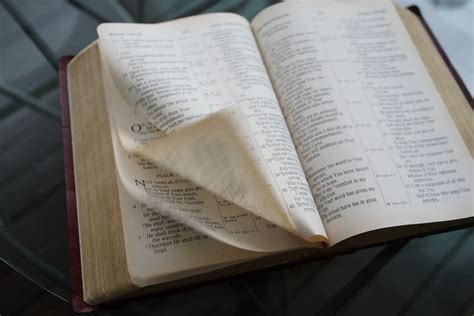 what are the 14 books removed from the bible? and how does this affect modern biblical interpretation?